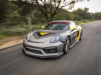 Vorsteiner Porsche GT4 (2016)