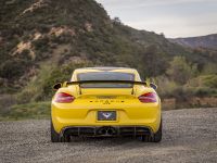 Vorsteiner Porsche GT4 (2016)