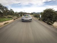 Vorsteiner Porsche GT4 (2016)