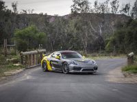 Vorsteiner Porsche GT4 (2016)