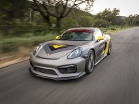 Vorsteiner Porsche GT4 (2016)