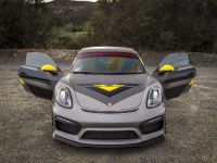 Vorsteiner Porsche GT4 (2016)