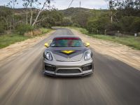 Vorsteiner Porsche GT4 (2016)