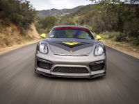 Vorsteiner Porsche GT4 (2016)