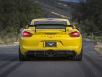 Vorsteiner Porsche GT4 (2016)