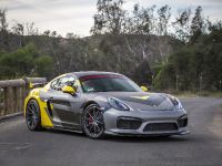 Vorsteiner Porsche GT4 (2016)