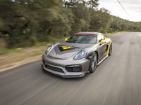 Vorsteiner Porsche GT4 (2016)