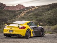 Vorsteiner Porsche GT4 (2016)