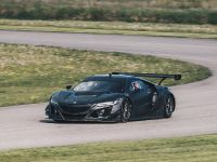 Acura NSX GT3 Racecar (2017) - picture 3 of 6
