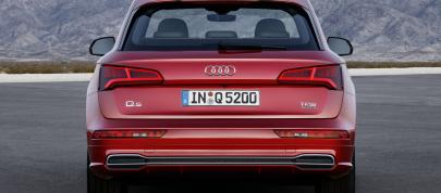 Audi Q5 (2017) - picture 15 of 18