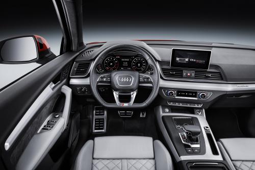 Audi Q5 (2017) - picture 16 of 18