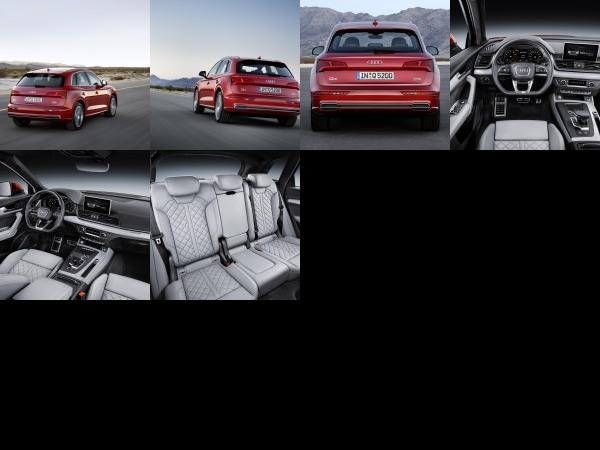 Audi Q5 (2017) - picture 13 of 18