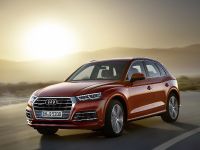 Audi Q5 (2017) - picture 5 of 18