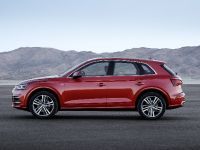 Audi Q5 (2017) - picture 8 of 18