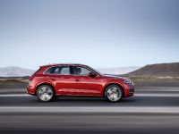 Audi Q5 (2017)