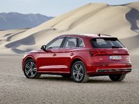 Audi Q5 (2017) - picture 10 of 18