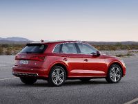 Audi Q5 (2017) - picture 11 of 18