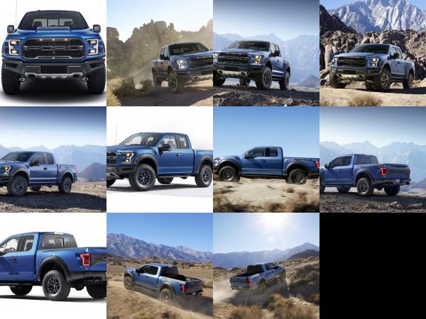 Ford F-150 Raptor (2017) - picture 1 of 11