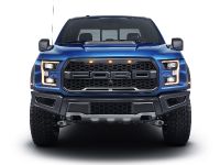 Ford F-150 Raptor (2017) - picture 1 of 11