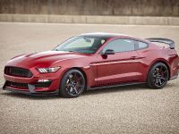 Ford Mustang Shelby GT350 (2017) - picture 6 of 7