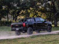 GMC Sierra HD All Terrain X Limited Edition (2017) - picture 8 of 13