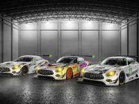 Mercedes-AMG GT3 Racecars (2017) - picture 1 of 4