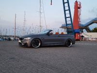 SCHMIDT BMW M4 Convertible (2017) - picture 3 of 6