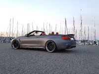 SCHMIDT BMW M4 Convertible (2017) - picture 4 of 6