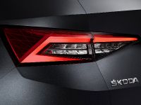 ŠKODA KODIAQ First Images (2017) - picture 3 of 4