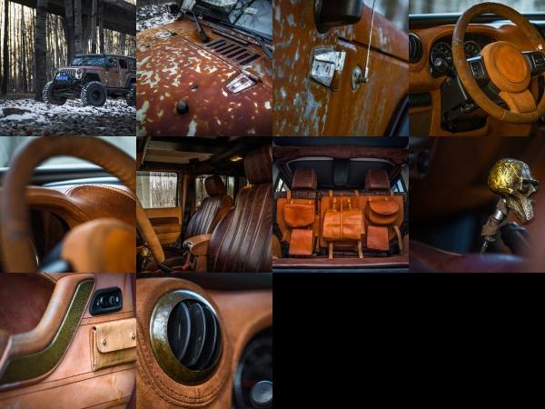 Vilner Jeep Wrangler Hunting Unlimited (2017) - picture 1 of 10