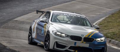 Alpha-N Performance BMW M4 (2018) - picture 15 of 17