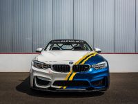 Alpha-N Performance BMW M4 (2018) - picture 1 of 17