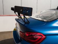 Alpha-N Performance BMW M4 (2018) - picture 10 of 17
