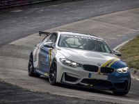 2018 Alpha-N Performance BMW M4