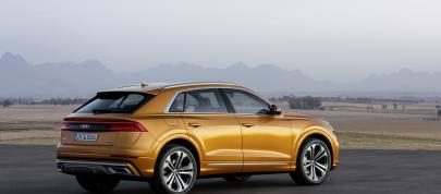 Audi Q8 SUV (2018) - picture 4 of 10