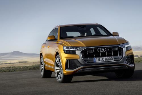 Audi Q8 SUV (2018) - picture 1 of 10