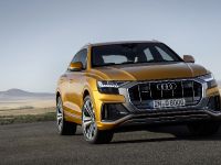 Audi Q8 SUV (2018) - picture 1 of 10