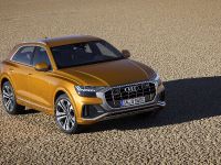 Audi Q8 SUV (2018) - picture 2 of 10