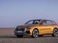 Audi Q8 SUV (2018) - picture 3 of 10