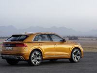 Audi Q8 SUV (2018) - picture 4 of 10