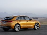 Audi Q8 SUV (2018) - picture 4 of 10