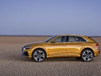 Audi Q8 SUV (2018) - picture 5 of 10