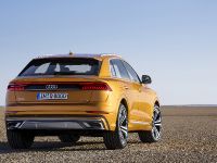 Audi Q8 SUV (2018) - picture 6 of 10