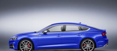 Audi S5 Sportback (2018) - picture 7 of 14