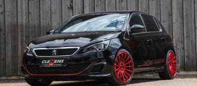 CLEMENS Motorsport Peugeot 307 GTI (2018) - picture 4 of 16
