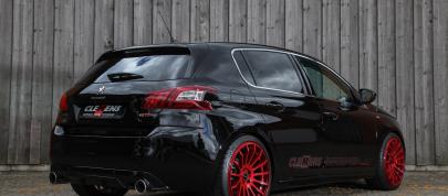 CLEMENS Motorsport Peugeot 307 GTI (2018) - picture 7 of 16