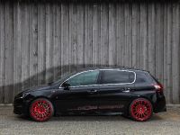 CLEMENS Motorsport Peugeot 307 GTI (2018) - picture 5 of 16