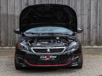 CLEMENS Motorsport Peugeot 307 GTI (2018) - picture 8 of 16