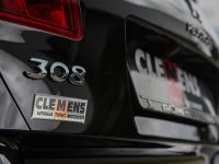 CLEMENS Motorsport Peugeot 307 GTI (2018) - picture 10 of 16