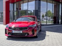 DTE Performance Kia Stinger (2018) - picture 1 of 8